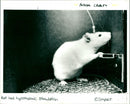 ANDAL CRUurn s hypothalmic Stimulation O impact
CHECKED NOV DI03 G2
ANIMAL - Vintage Photograph