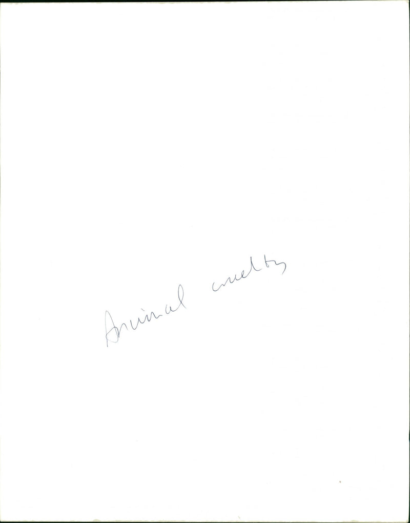 Anuinal cruelty
ANIMAL CRUELTY 7 ( EWGUARDIAN EDIUMWEIGHT < 254mm C2741 - Vintage Photograph