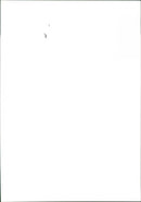 Smoking - Vintage Photograph