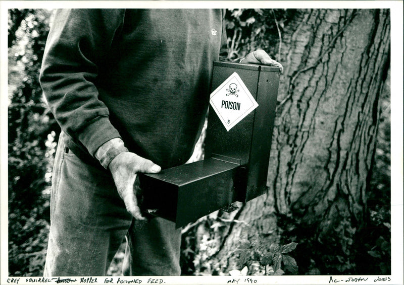 Squirrel Hopper - Vintage Photograph