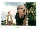 Elephant - Vintage Photograph