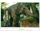 Elephant - Vintage Photograph