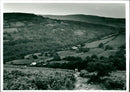 Brecon Beacons - Vintage Photograph