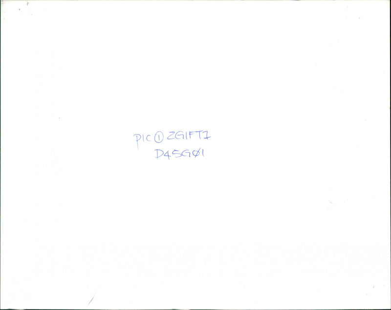 Elephant - Vintage Photograph