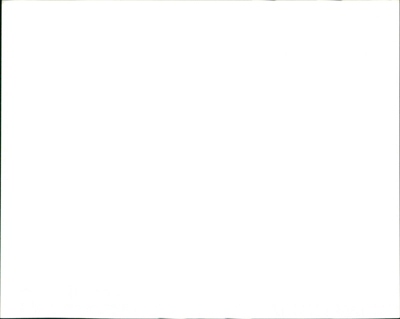 Elephants - Vintage Photograph