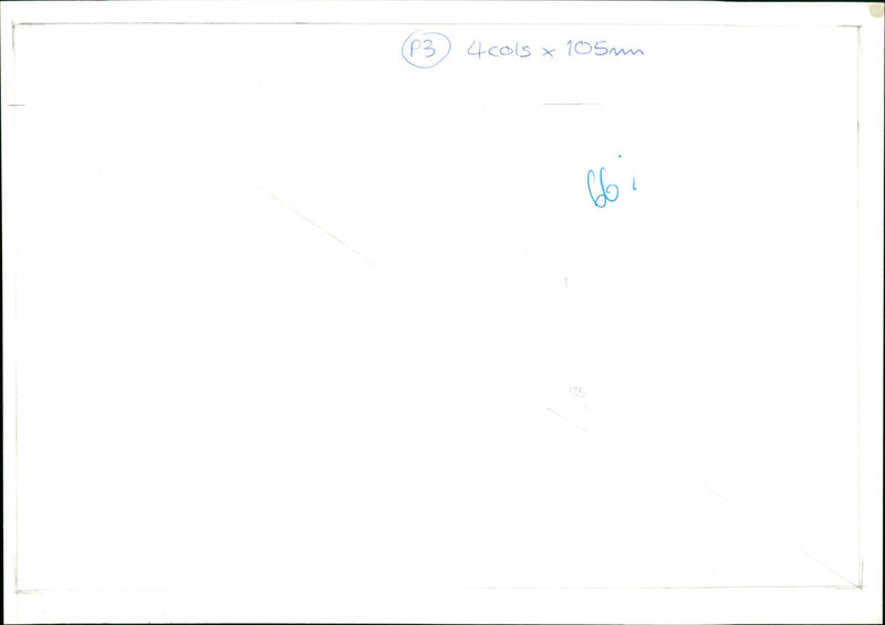 Cochlicella Barbara - Vintage Photograph