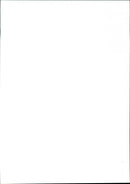 Ducks - Vintage Photograph