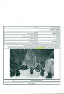 1997 - RABRI YADAV DEVI THIS DOWNLOAD, WRITER, IMAGE, HUSBAND - Vintage Photograph