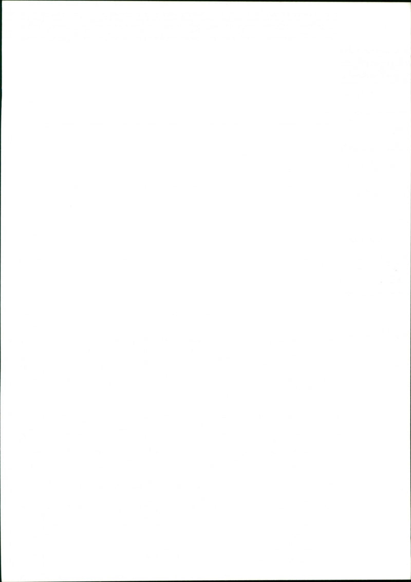 Garden - Vintage Photograph