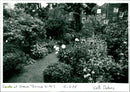 Garden - Vintage Photograph