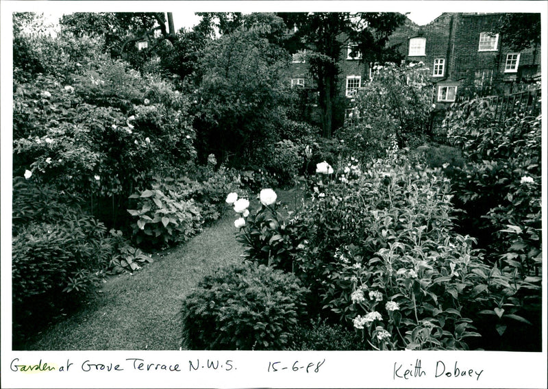 Garden - Vintage Photograph