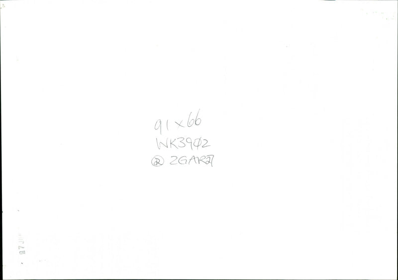 Gardens - Vintage Photograph