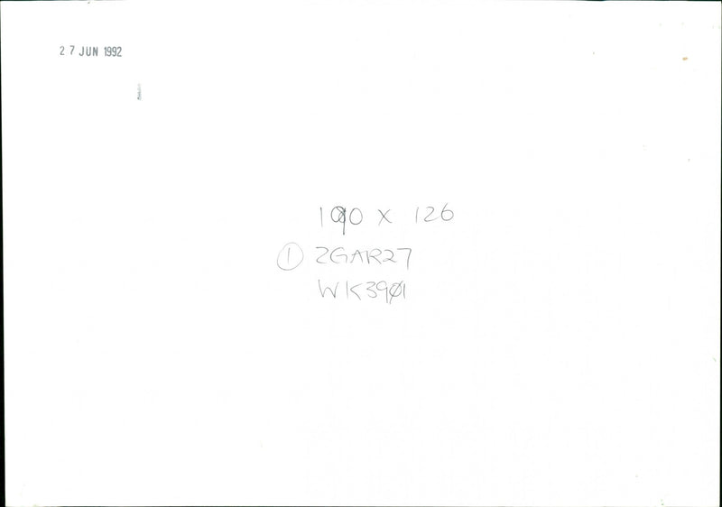 Gardens - Vintage Photograph