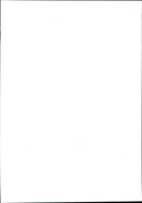 Garden - Vintage Photograph