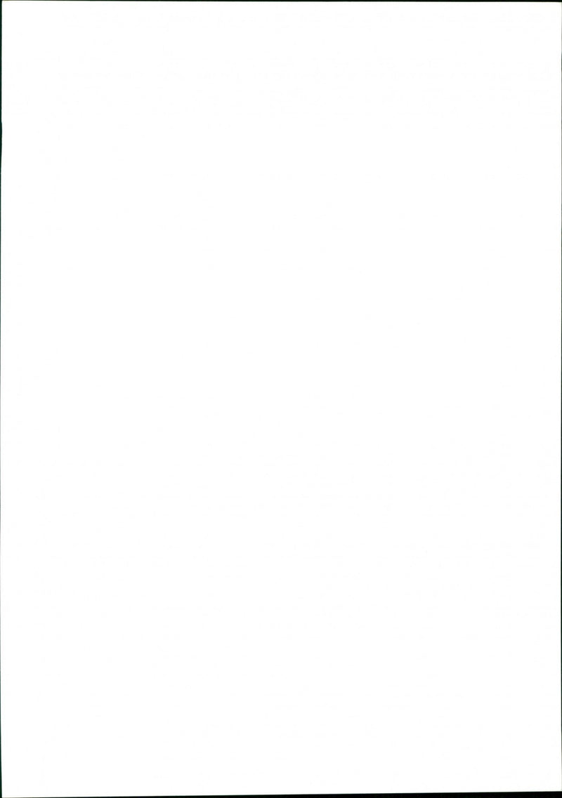 Garden - Vintage Photograph