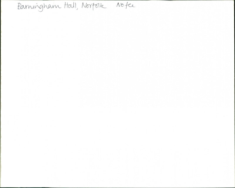 Gardens - Vintage Photograph