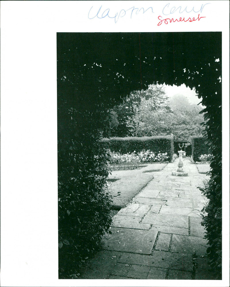 Gardens - Vintage Photograph