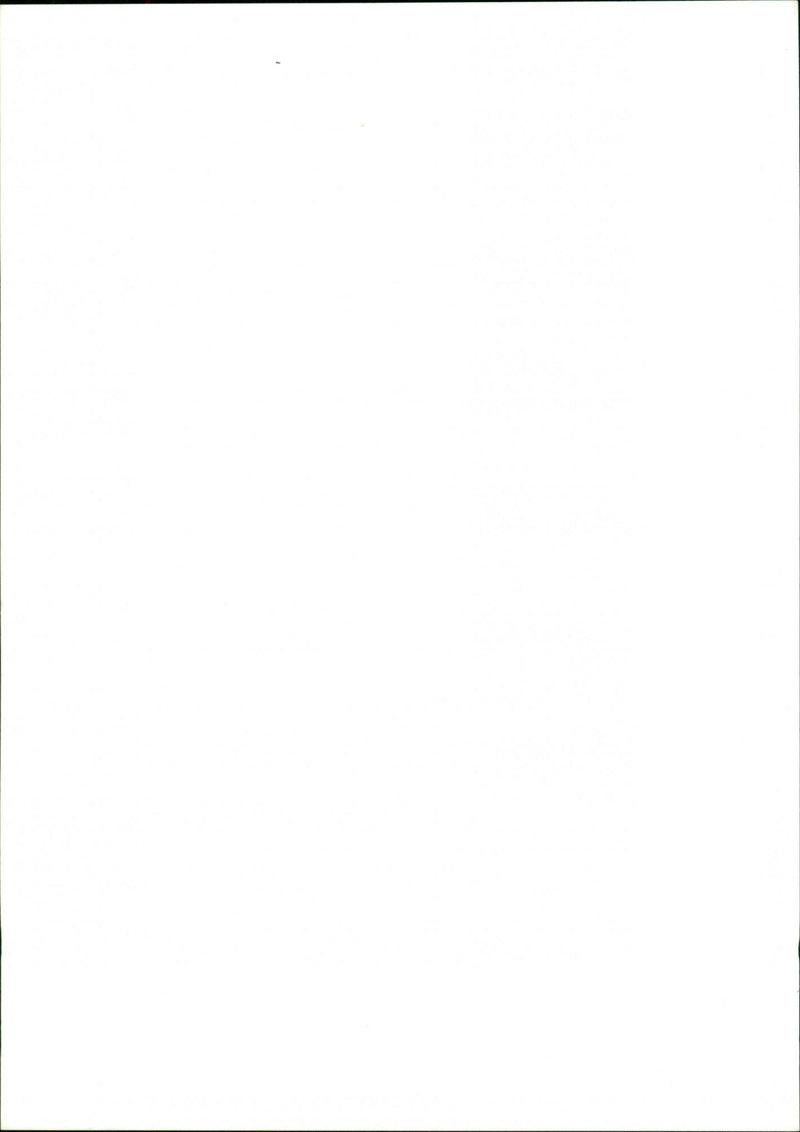 Gardens - Vintage Photograph