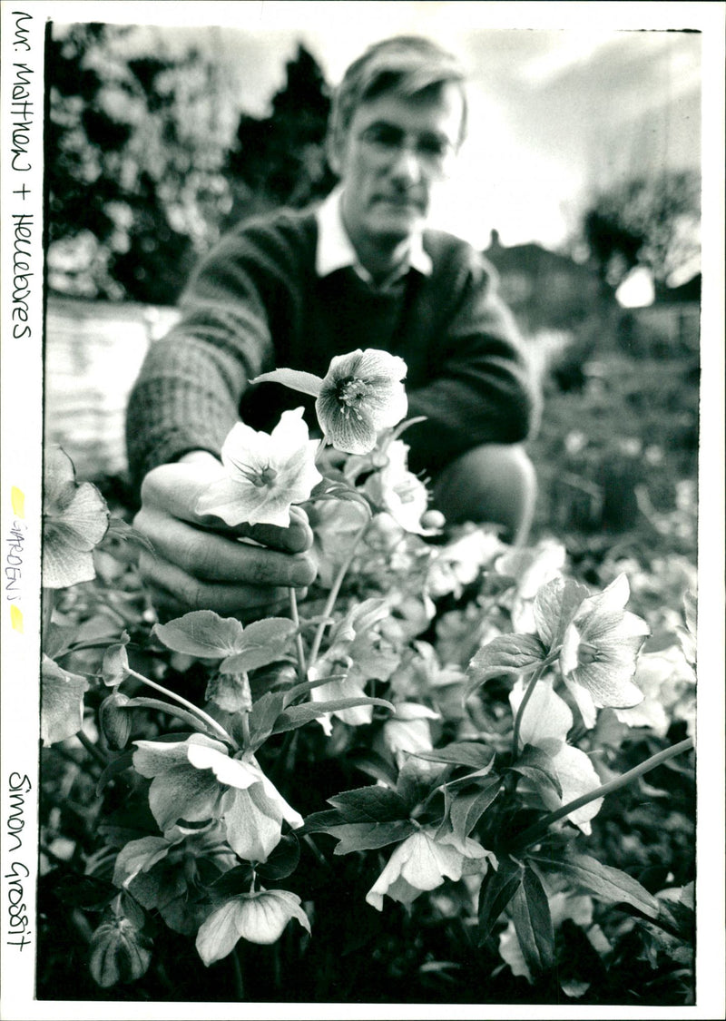 Gardens - Vintage Photograph