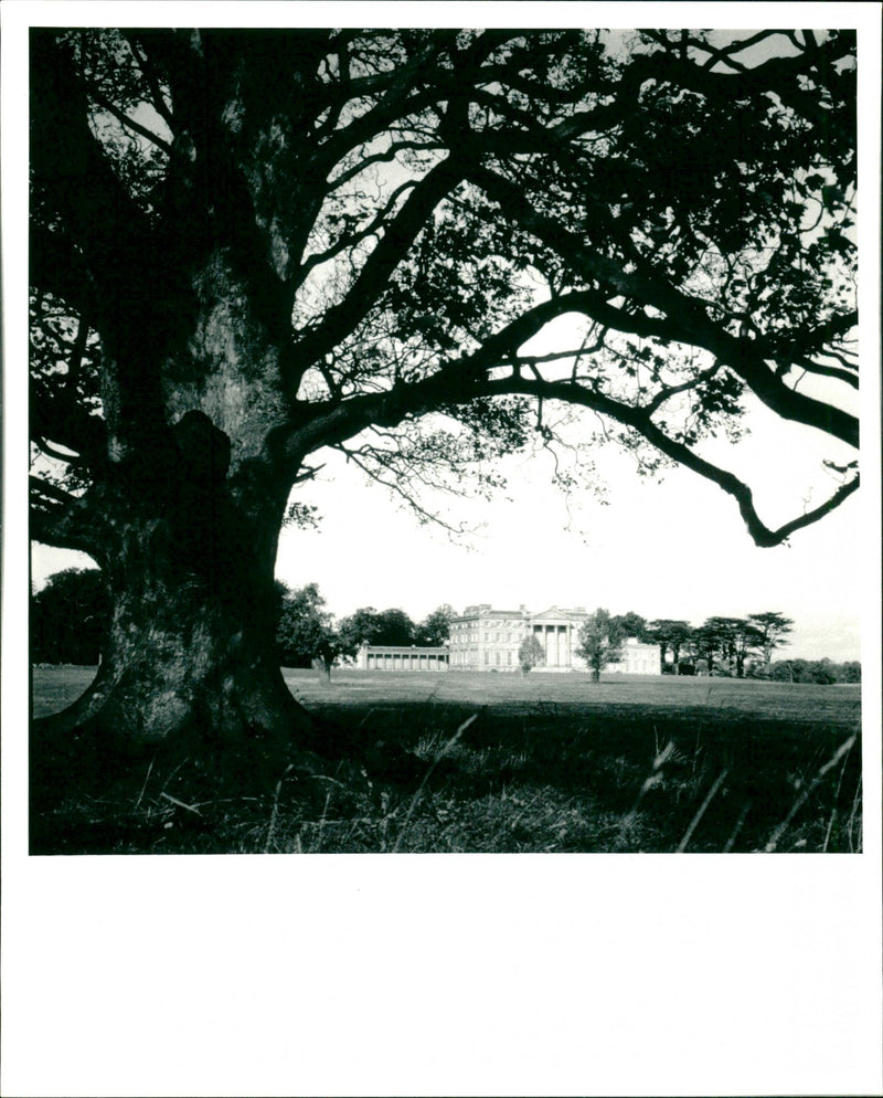 Gardens - Vintage Photograph