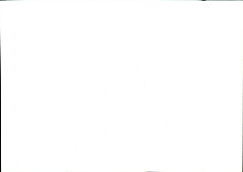 Gardening - Vintage Photograph