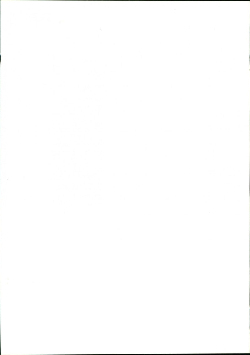 Garden - Vintage Photograph