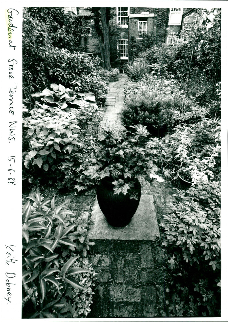 Garden - Vintage Photograph