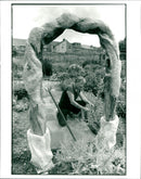 Gardens - Vintage Photograph