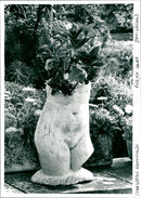 Charlestone Farmhouse - Vintage Photograph