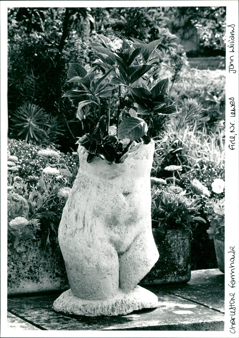 Charlestone Farmhouse - Vintage Photograph