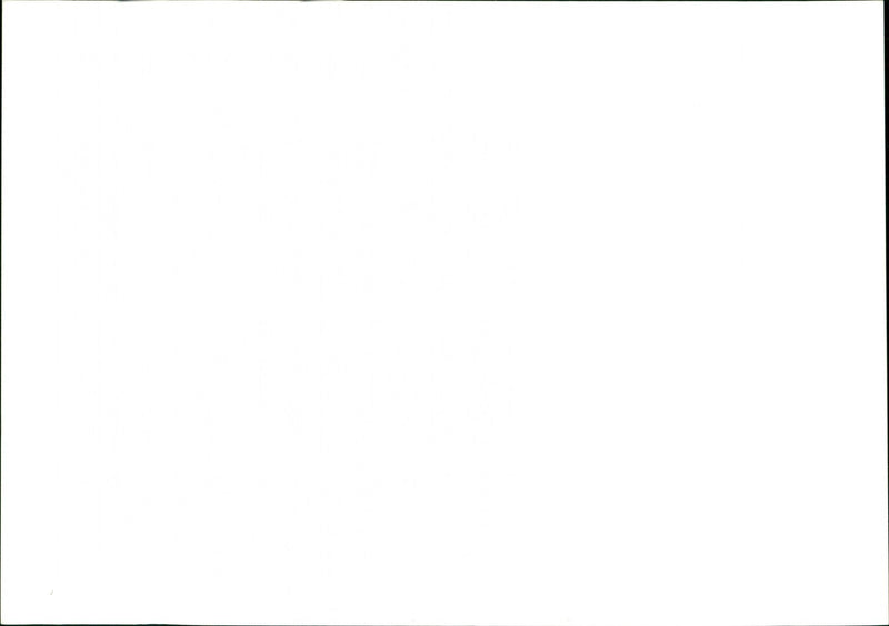 Garden - Vintage Photograph