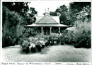 Garden - Vintage Photograph