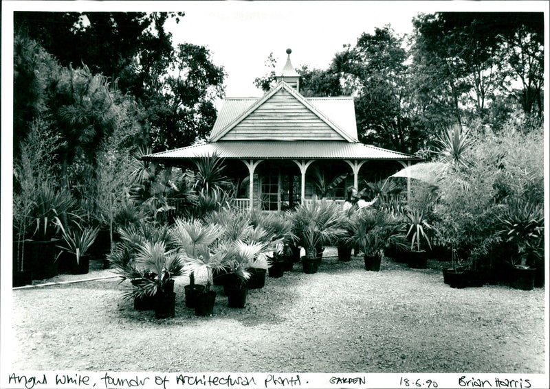 Garden - Vintage Photograph