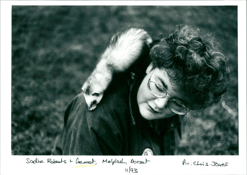 Ferret - Vintage Photograph