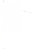 Ferret Racing - Vintage Photograph