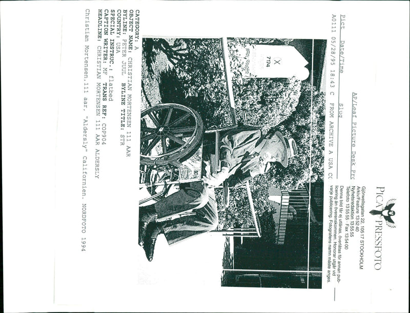 1995 STEGEN OTHER DESK IMAGE EVERY COUNTRY LEAF CAPTIO WRITER PETER - Vintage Photograph