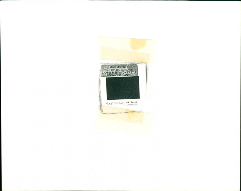 Impala - Vintage Photograph