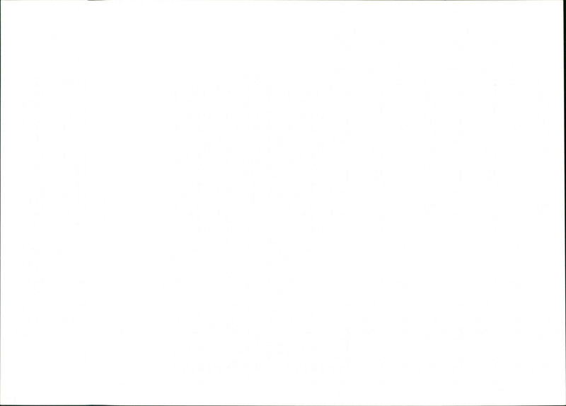 Tarantula - Vintage Photograph