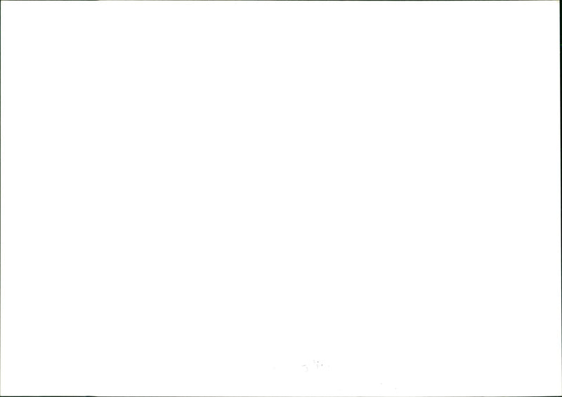 Farm - Vintage Photograph