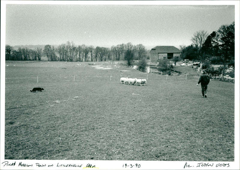 Farm - Vintage Photograph