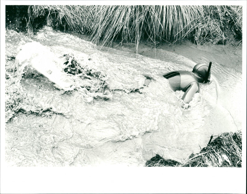 Bog Snorkelling World Championships - Vintage Photograph