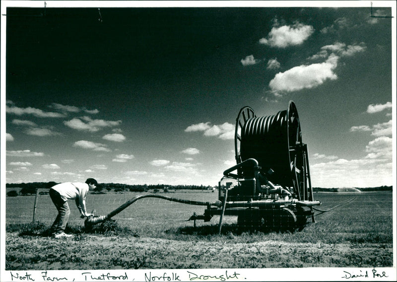 Drought - Vintage Photograph