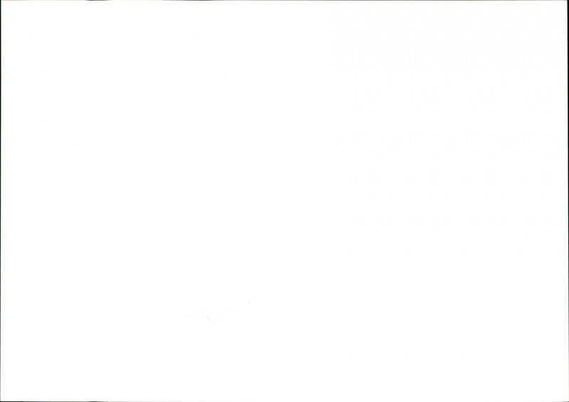 Drought - Vintage Photograph