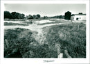 Drought - Vintage Photograph