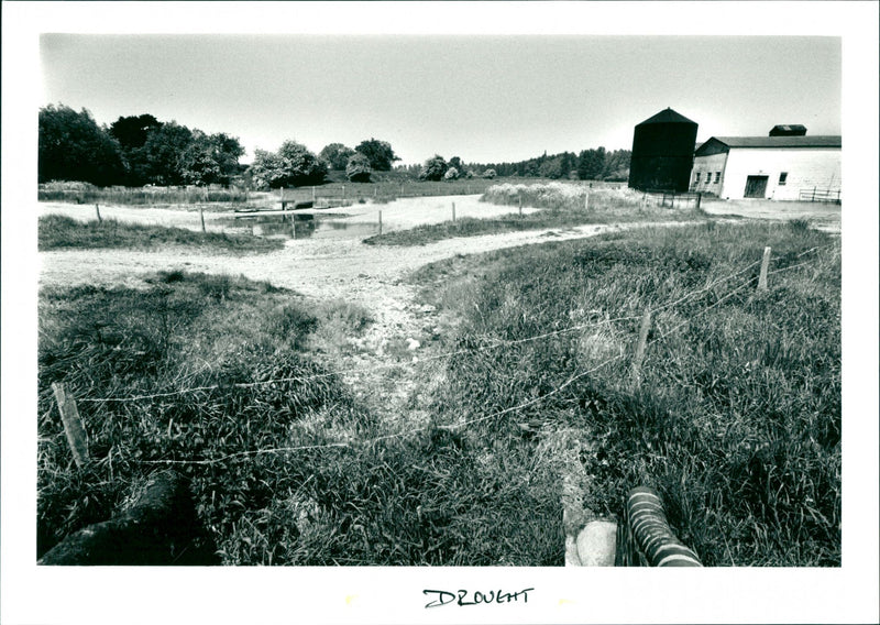 Drought - Vintage Photograph