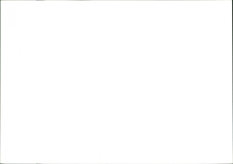 Drought - Vintage Photograph