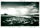 Drought - Vintage Photograph