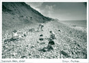 Charmouth Beach - Vintage Photograph