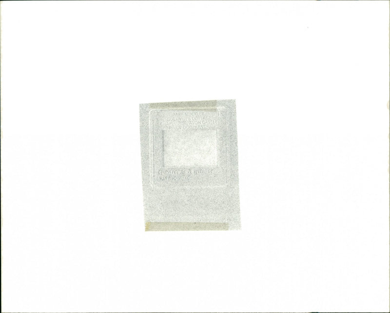 Giraffe - Vintage Photograph