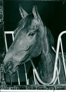 Party Politics - Vintage Photograph